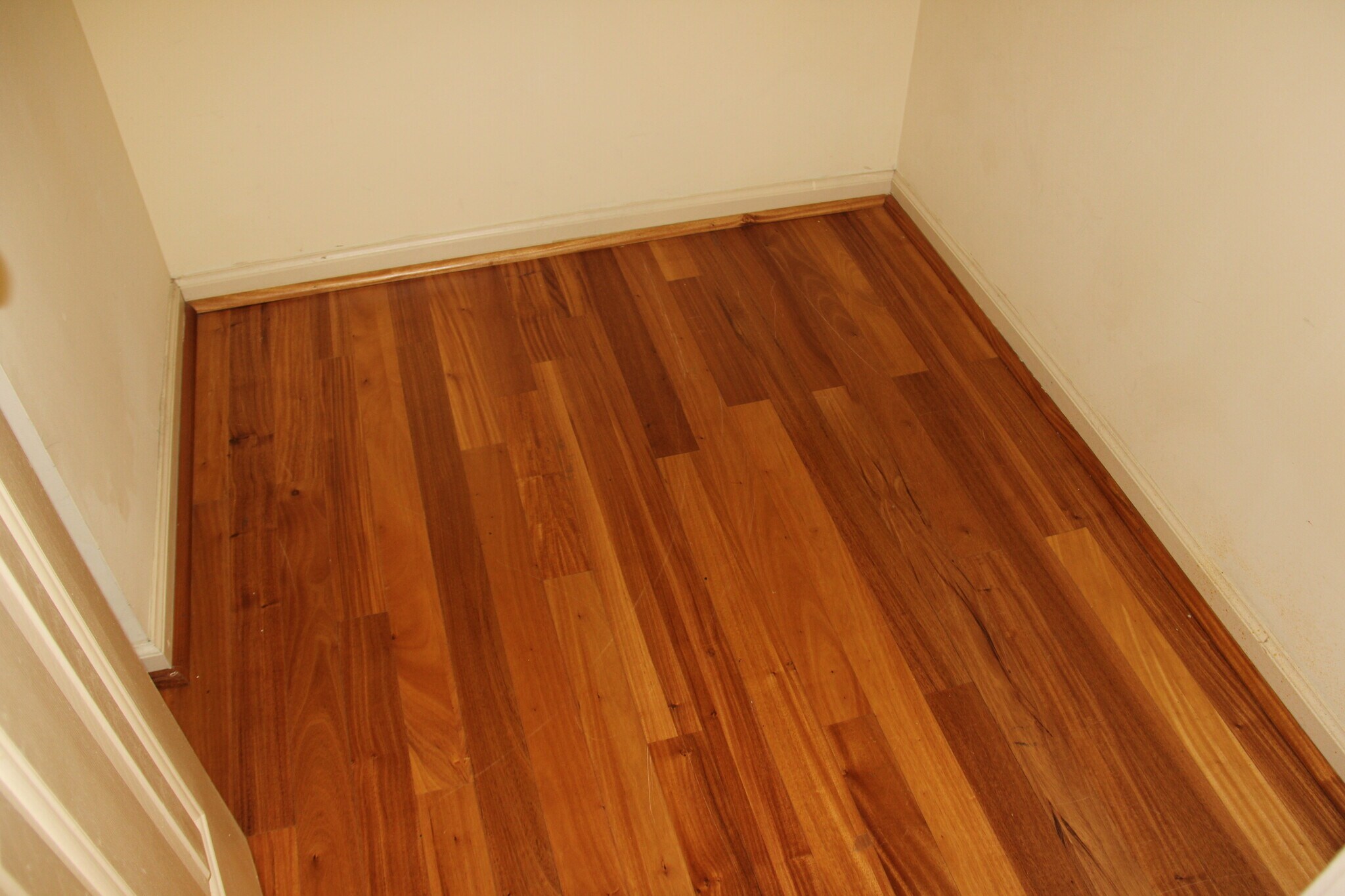 Master bedroom Closet - 139 Barn Swallow Rdg