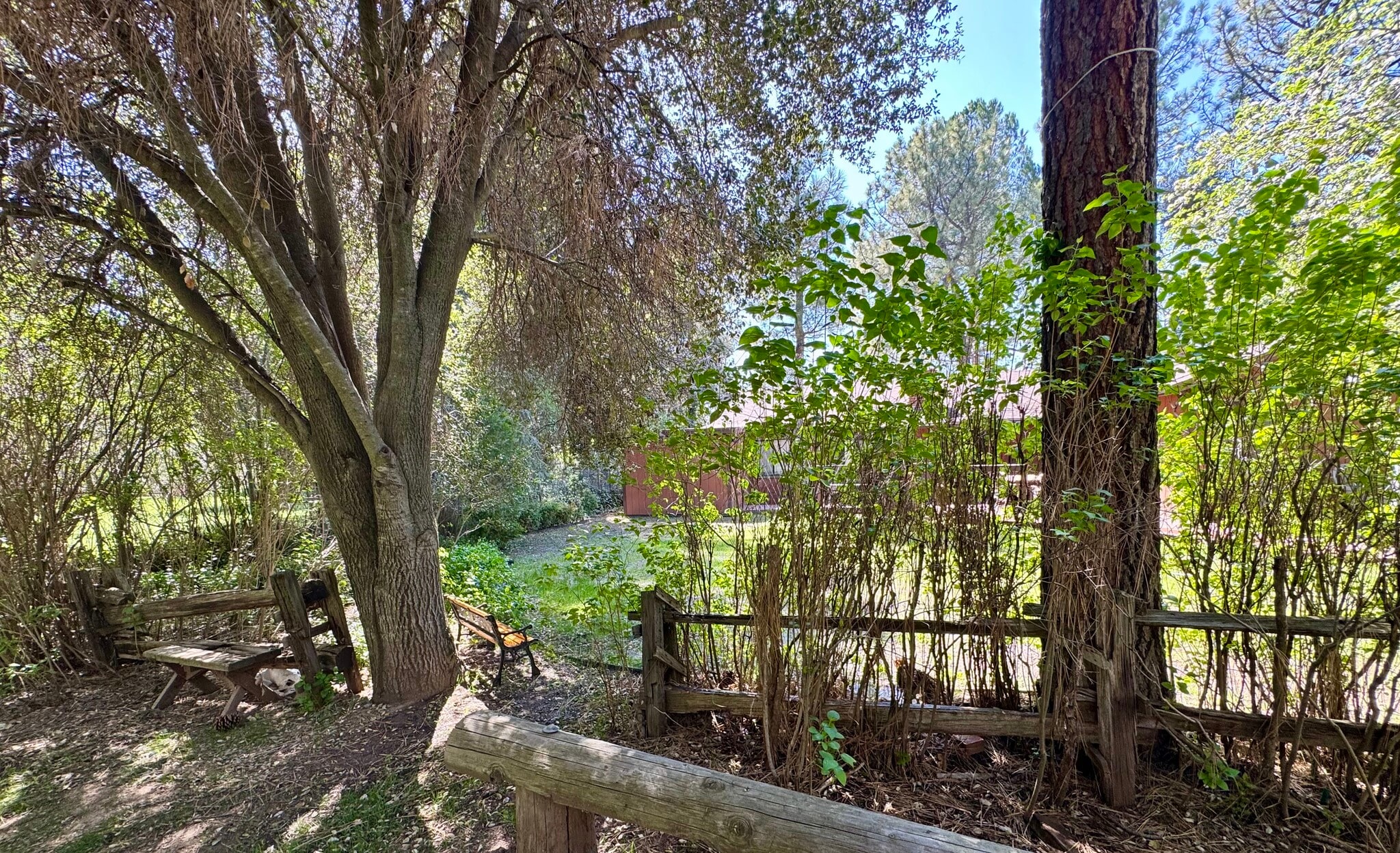 backyard shade - 7627 Pine Blvd
