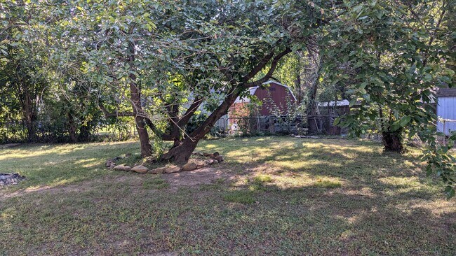 Backyard - 3500 Wilma Ave