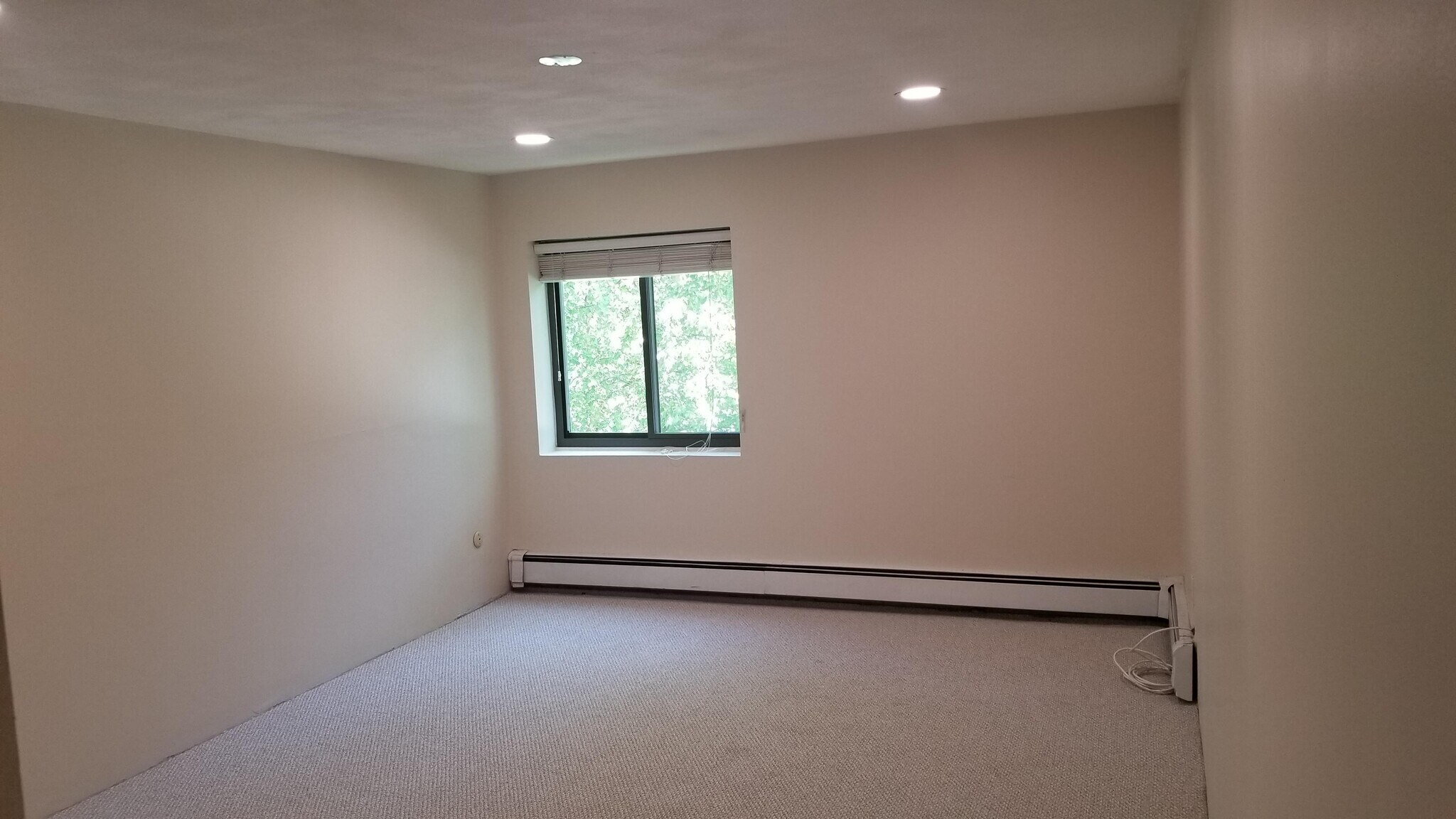 Bedroom 2 - 29 Harvard Ave