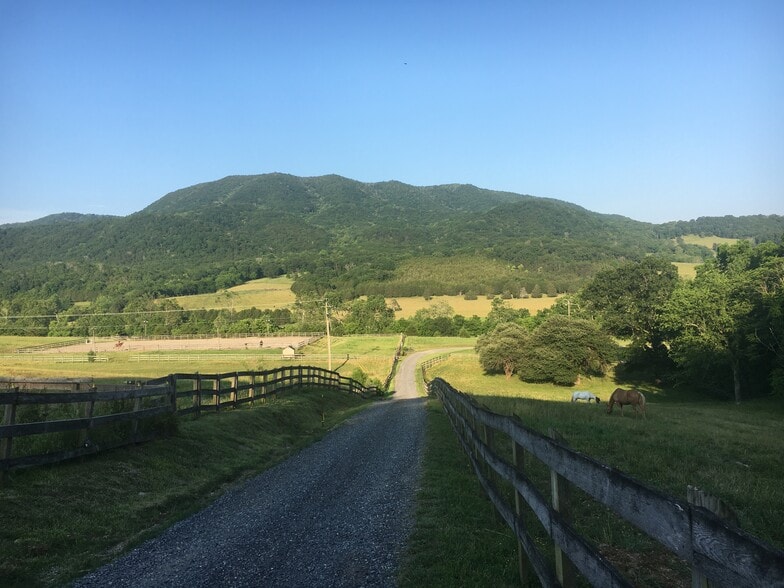 Gravel driveway. - 2353 Lusters Gate Rd