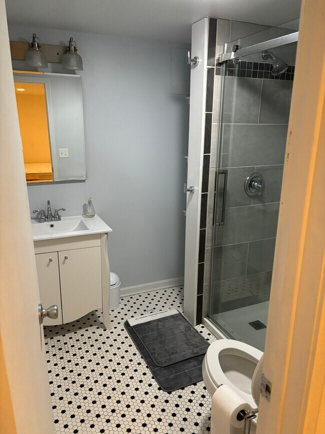 basement bathroom - 904 S Jordan Ave