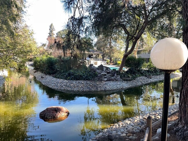 Building Photo - Cozy Condo in the Heart of Santa Clara.