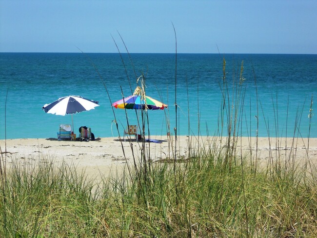 Building Photo - VACATION RENTAL ON S. HUTCHINSON ISLAND IN...