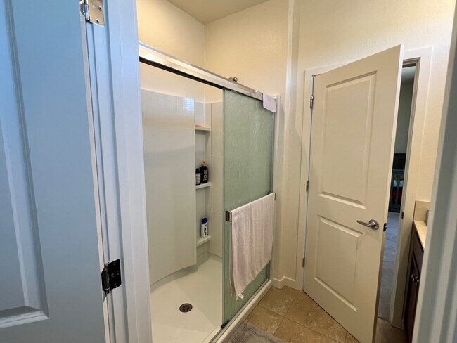 Master Bathroom - 4711 Falcon Rock Ln