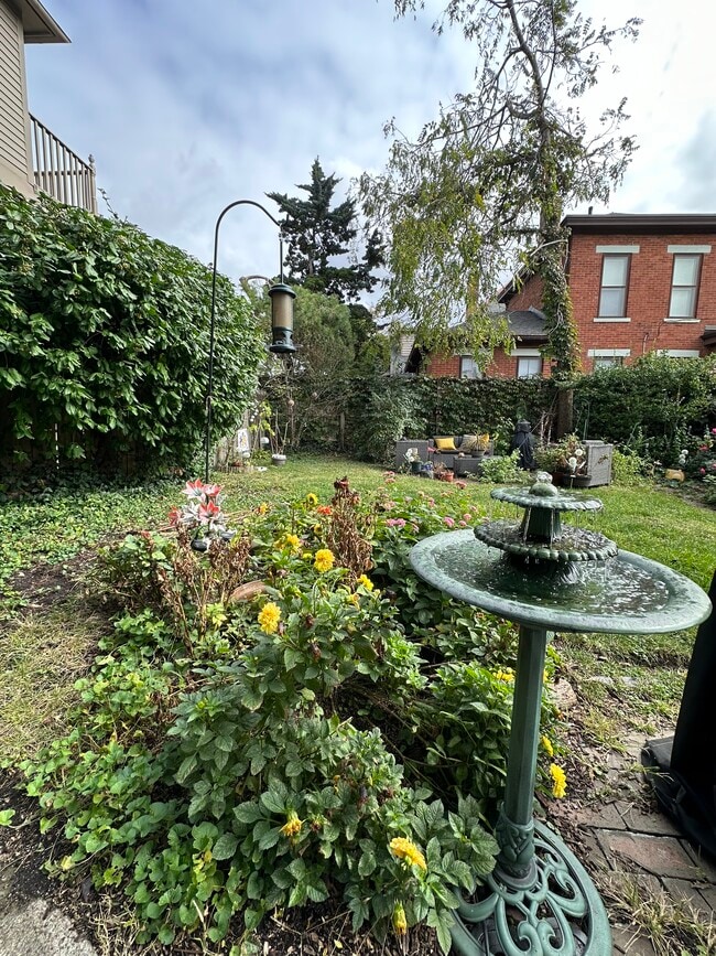 backyard - 560 S 3rd St