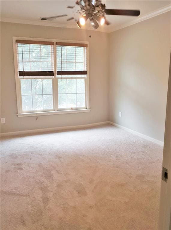 Building Photo - 211 Water Oak Pl