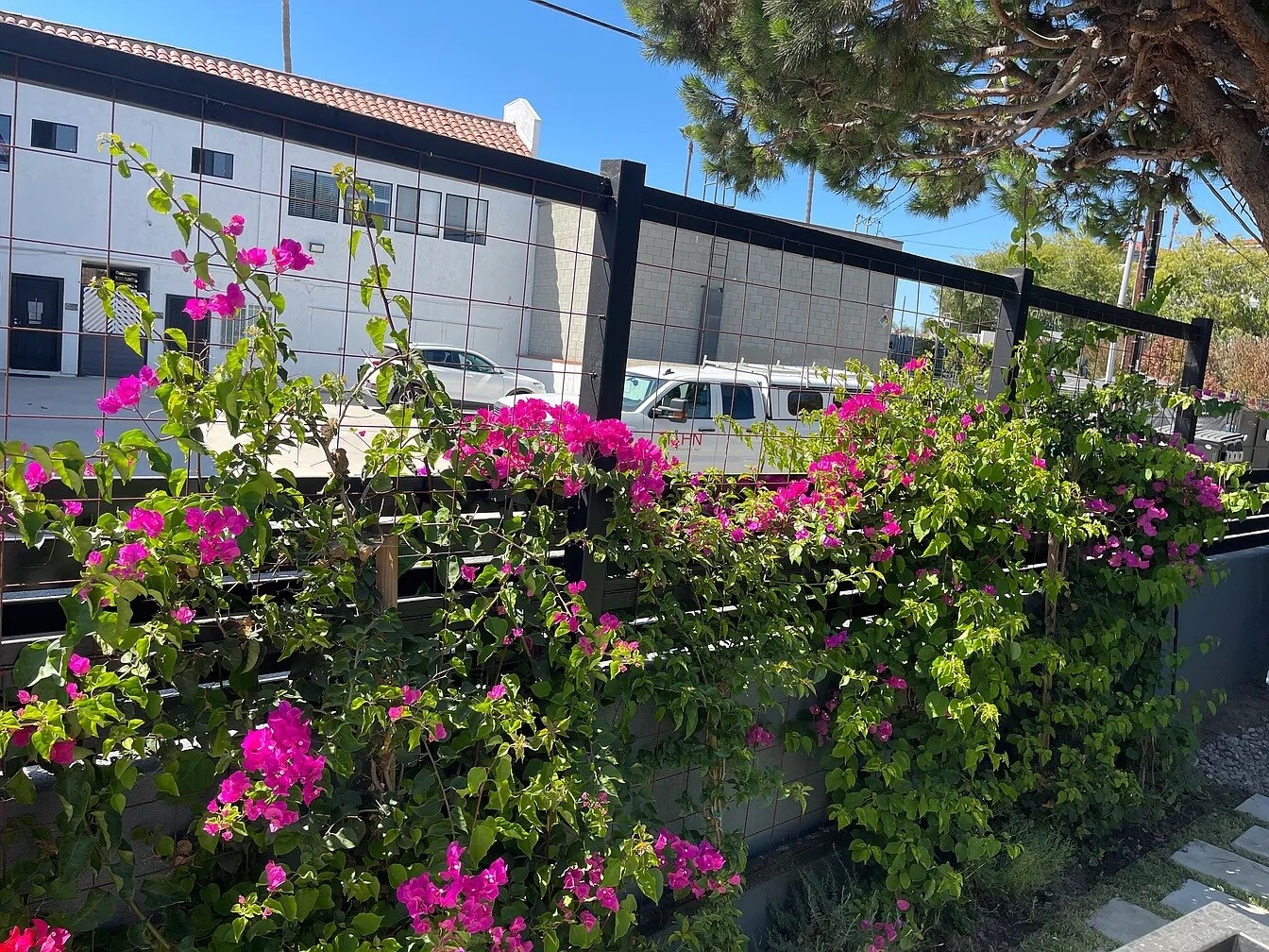 Building Photo - 4216 Sawtelle Blvd