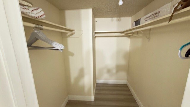 Building Photo - 2750 Holly Hall St