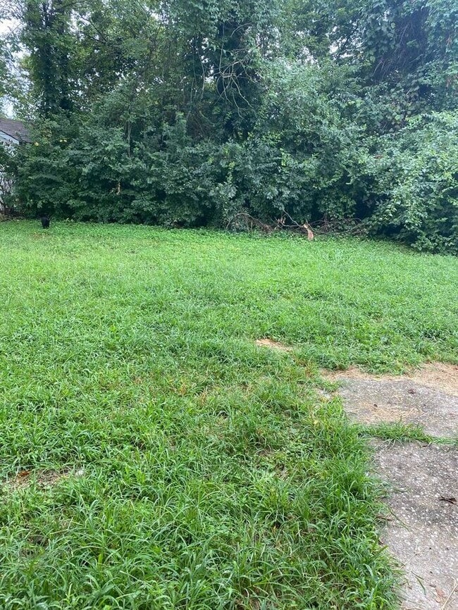 Building Photo - Spacious 3-Bedroom Home with Hardwood Floo...