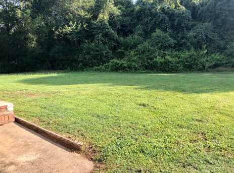 Back Yard - 108 Hunter Dr