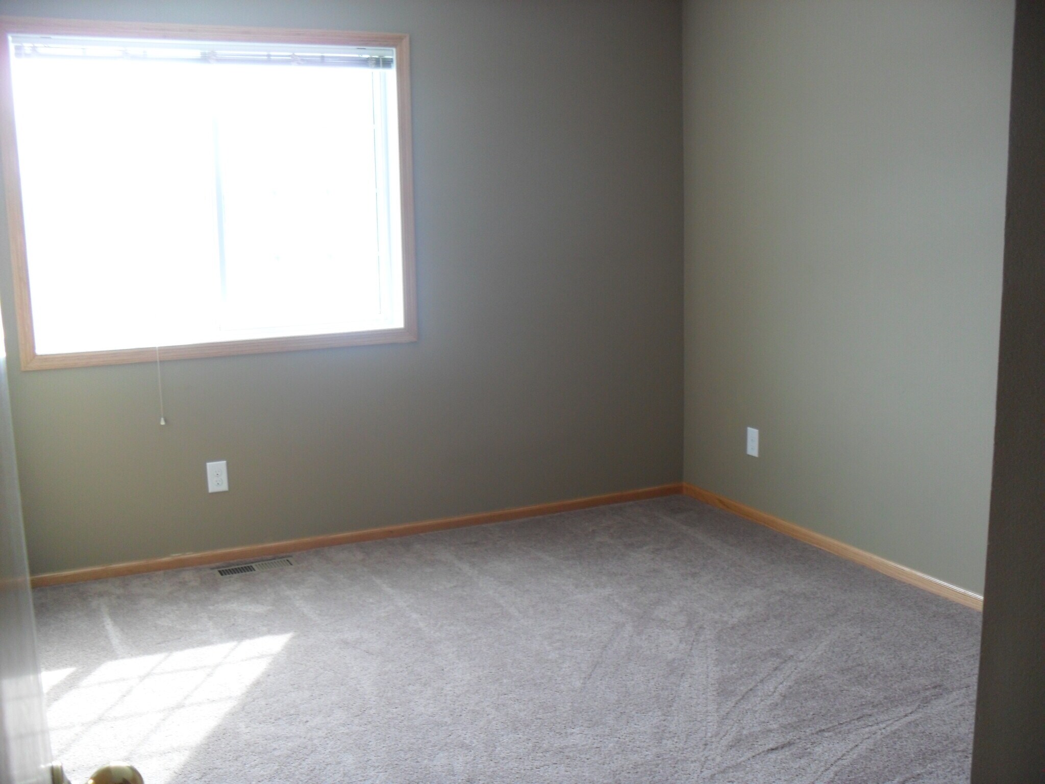 Building Photo - 4204 Meghan Ln