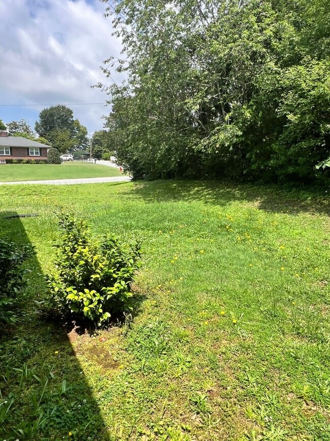 Building Photo - 3BD/ 2BA in Bellview Estates