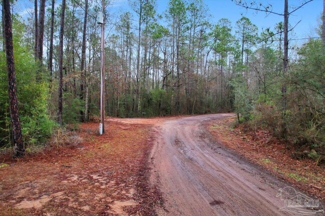 Building Photo - 1427 Big Coldwater Creek Rd