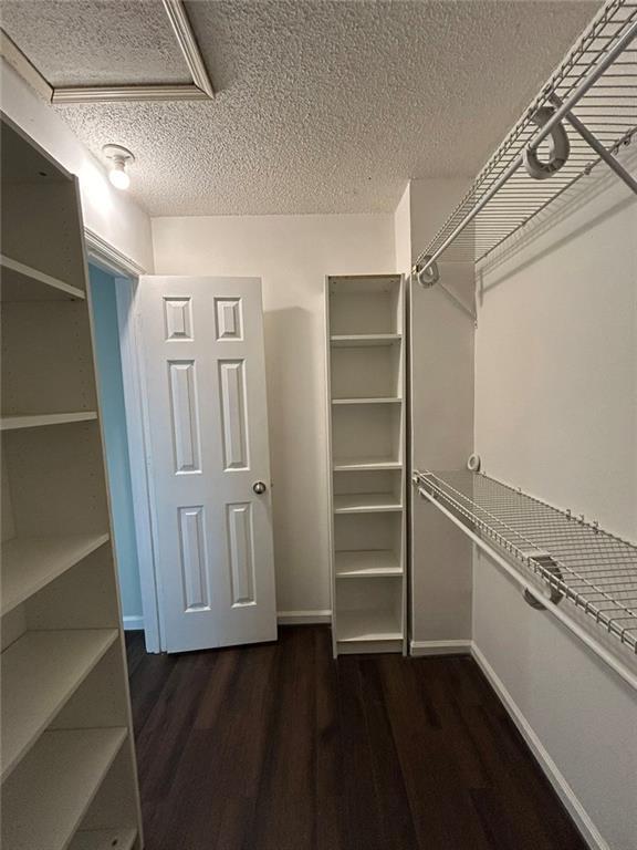 Building Photo - 1730 Paddlewheel Dr NE