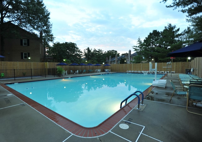 Community pool - 8201 Doctor Craik Ct