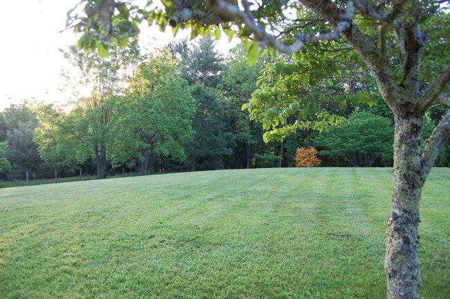Building Photo - Large Partially Furnished 4/2.5 in Beautif...