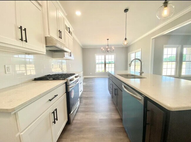Building Photo - 4 Bed 2 bath with 3 car attached garage