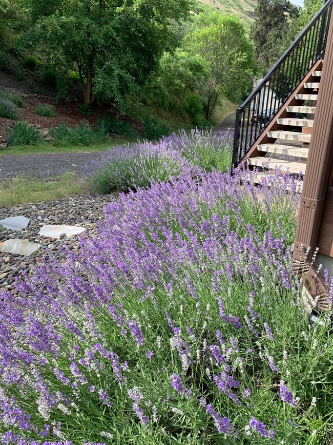 Building Photo - Custom Built Home on the Clearwater River - 20 minutes from Lewiston, ID