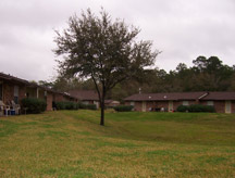 Primary Photo - Sugar Mill Woods