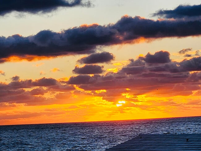 Building Photo - 1237 Hillsboro Mile