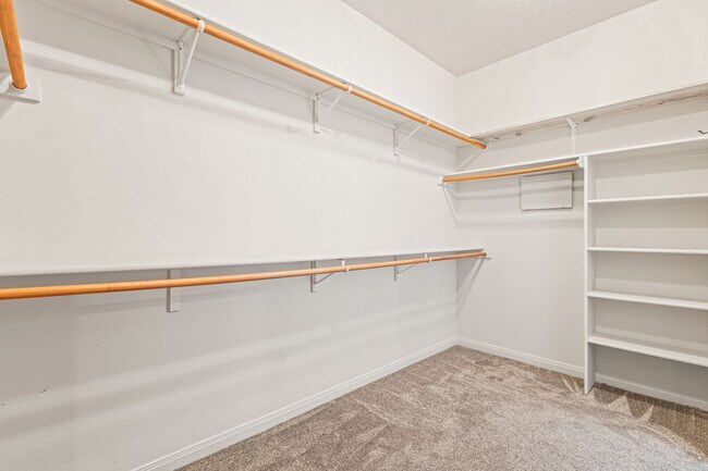 Building Photo - Corner Lot Beauty in Stone Oak Area