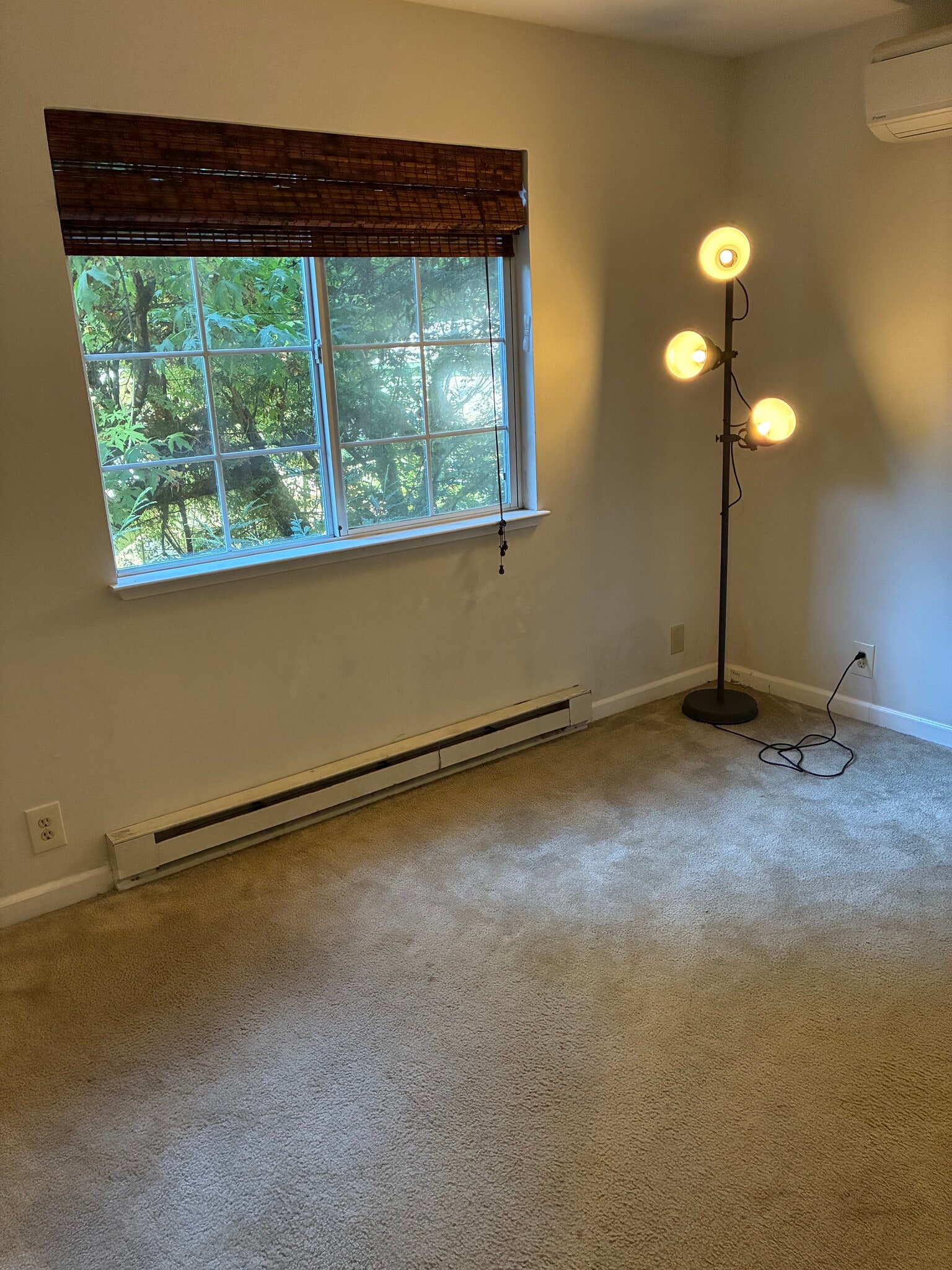 DOWNSTAIRS BEDROOM #1 - 14570 Canyon 1 Rd