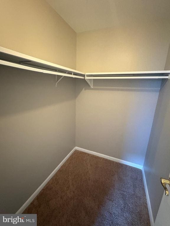 Building Photo - 6 Ballindine Ct