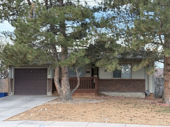 Building Photo - 230 Reed Ave