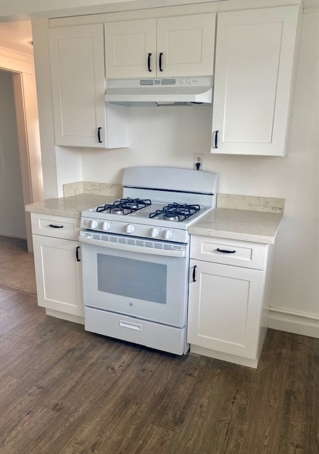 New Stove and cooking area - 1116 Dean Ave