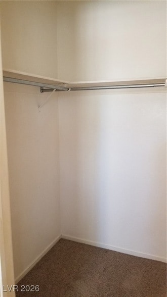 Building Photo - 2903 Rio Sonora Ct