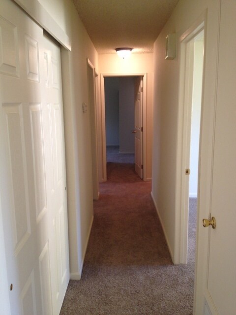 Building Photo - Recently Remodeled Four Bedroom Rosemont Home with Large Backyard!