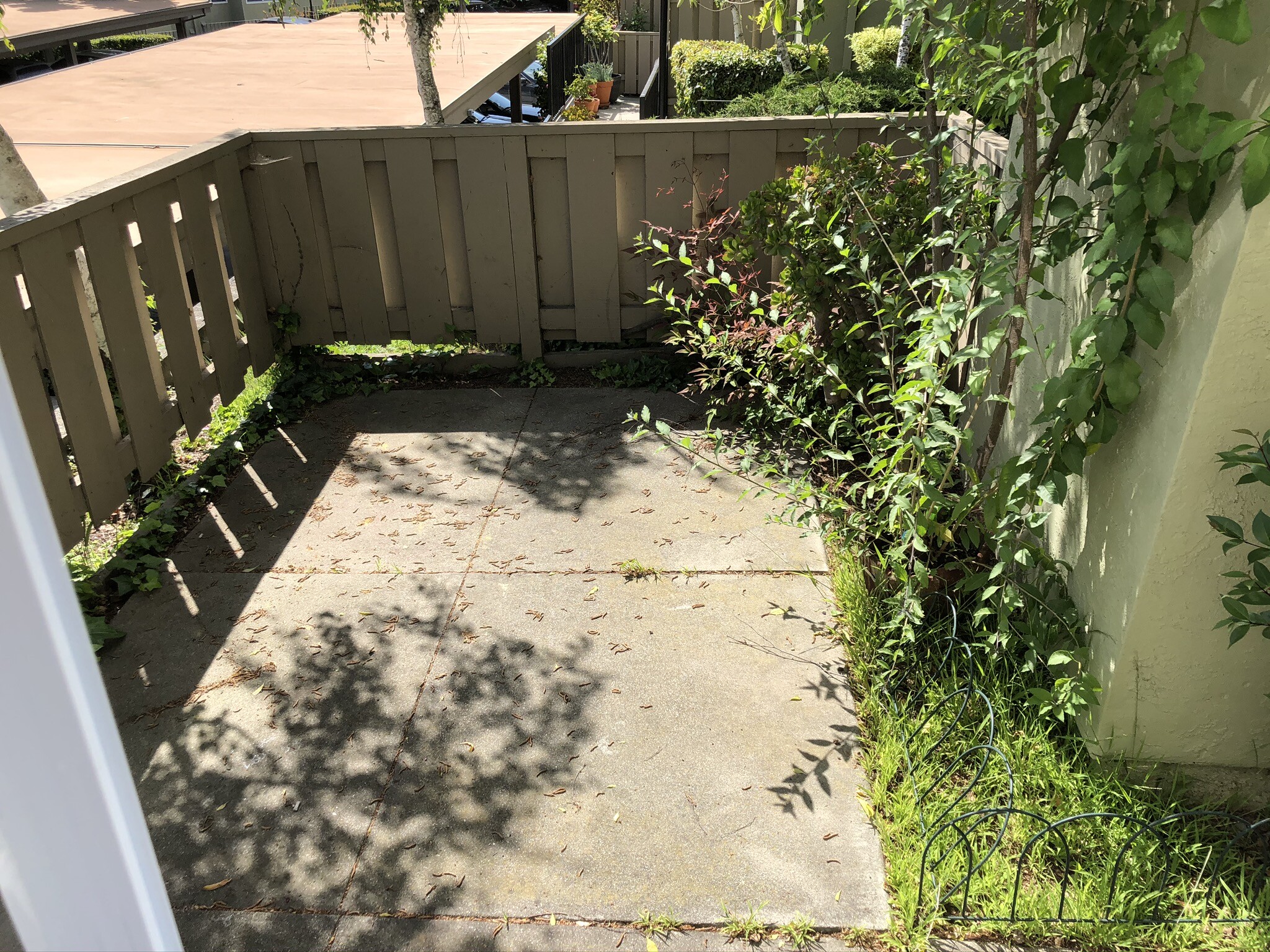 Backyard - 24352 Dover Ln