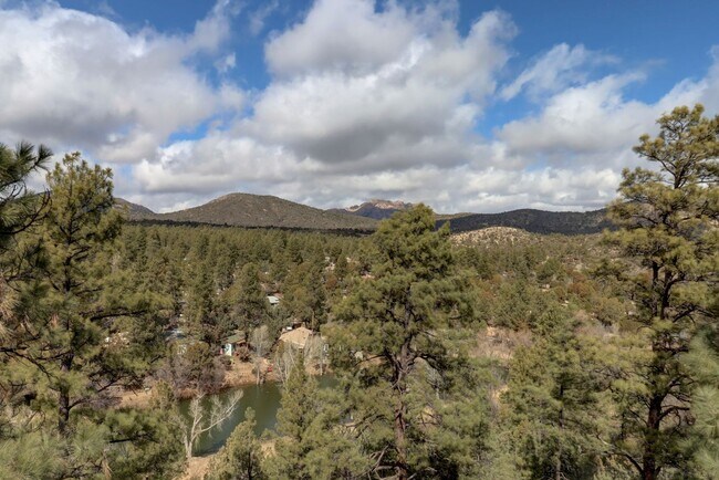 Building Photo - Incredible Home with Lake Views!