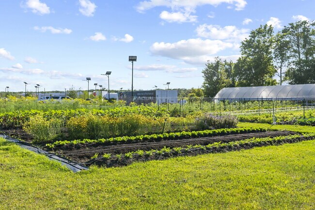 Building Photo - Charming 3-Bed Oasis with 2 Baths in Land O' Lakes – Your Ideal 1,448 Sq Ft Retreat!