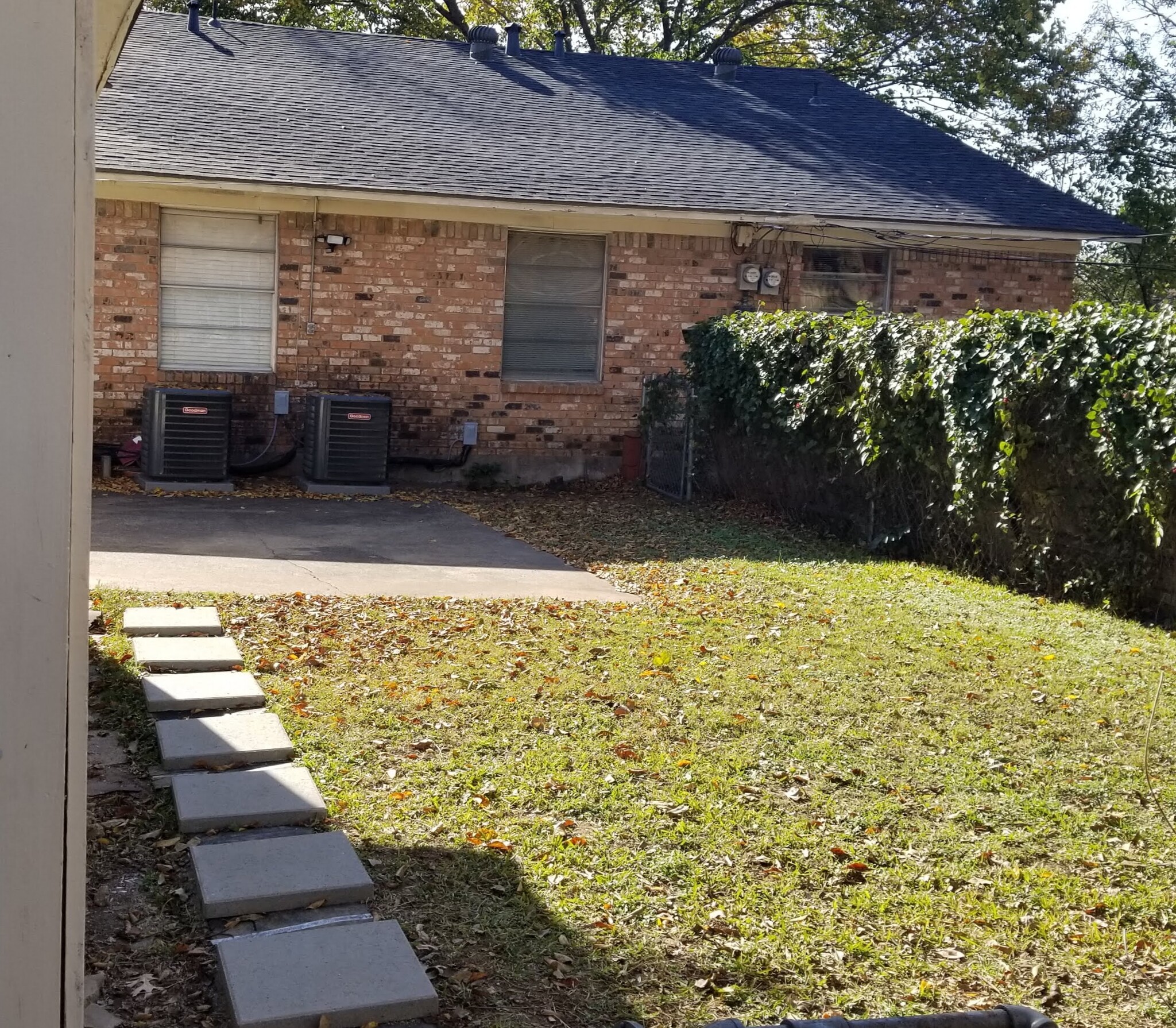 Backyard - 10833 Marchant Cir