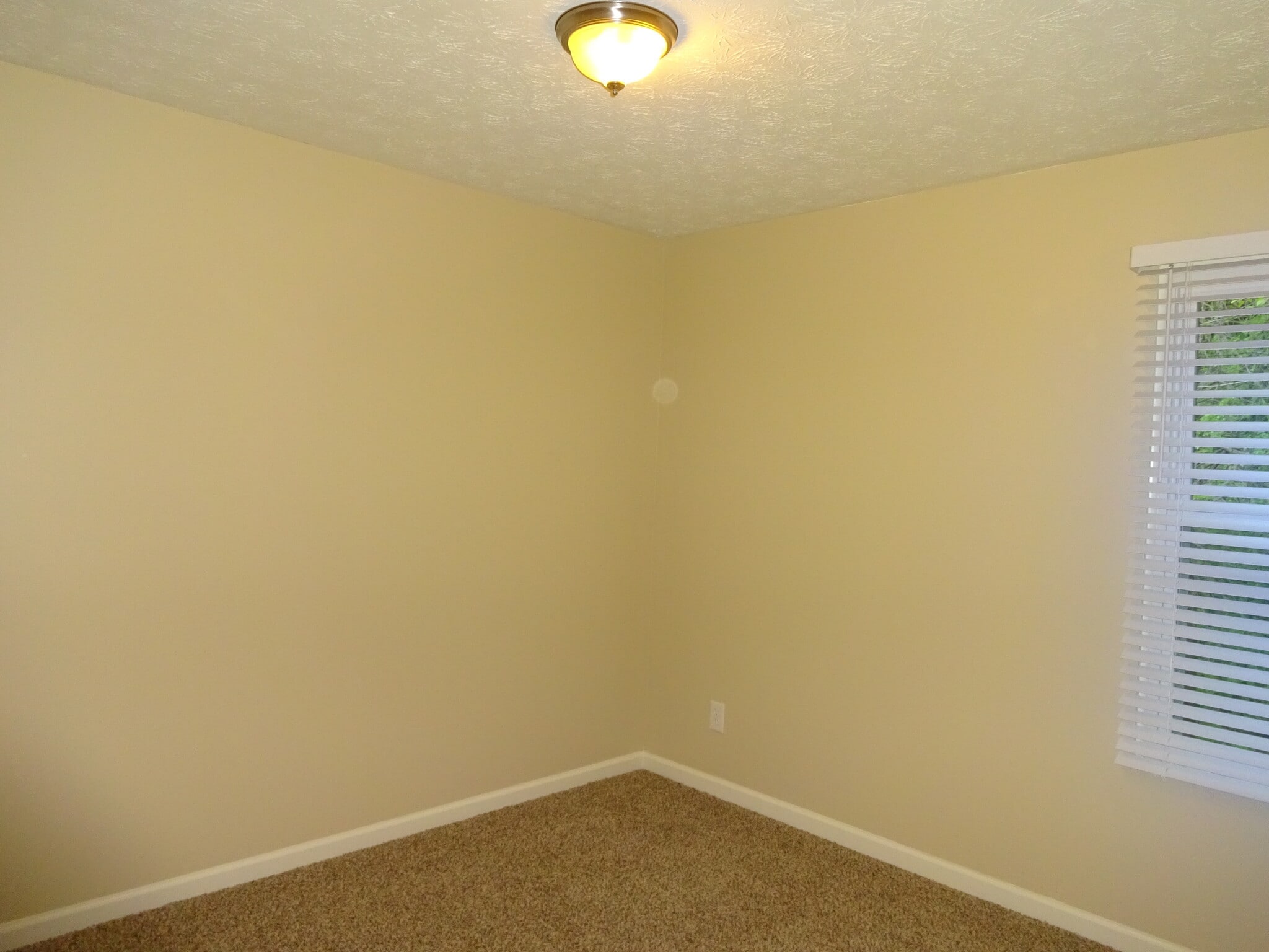 Building Photo - 3002 Sentinel Cir