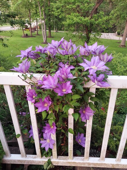 Building Photo - 1248 Boettler Rd