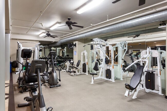 Building Photo - Modern Cortez Hill Loft | Secure Parking | Highly Upgraded