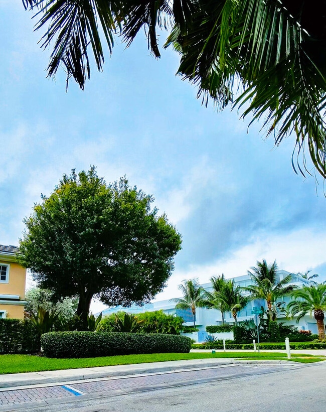 Building Photo - 1000 Palm Trail
