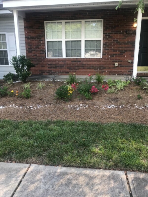 Building Photo - 10852 Holly Ridge Blvd