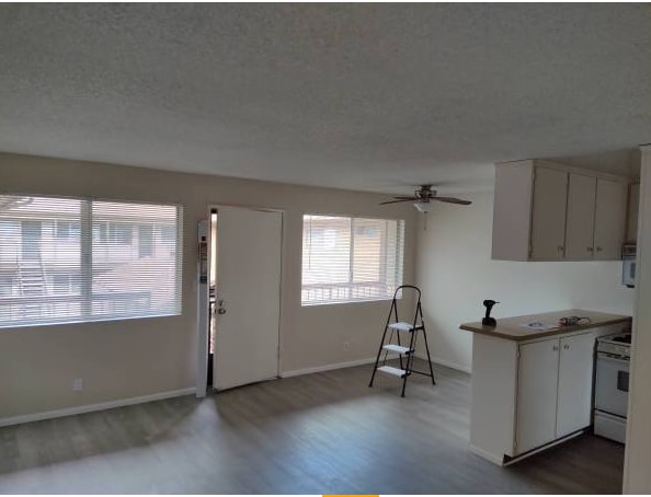 DINING AREA - 4633 Marine Ave