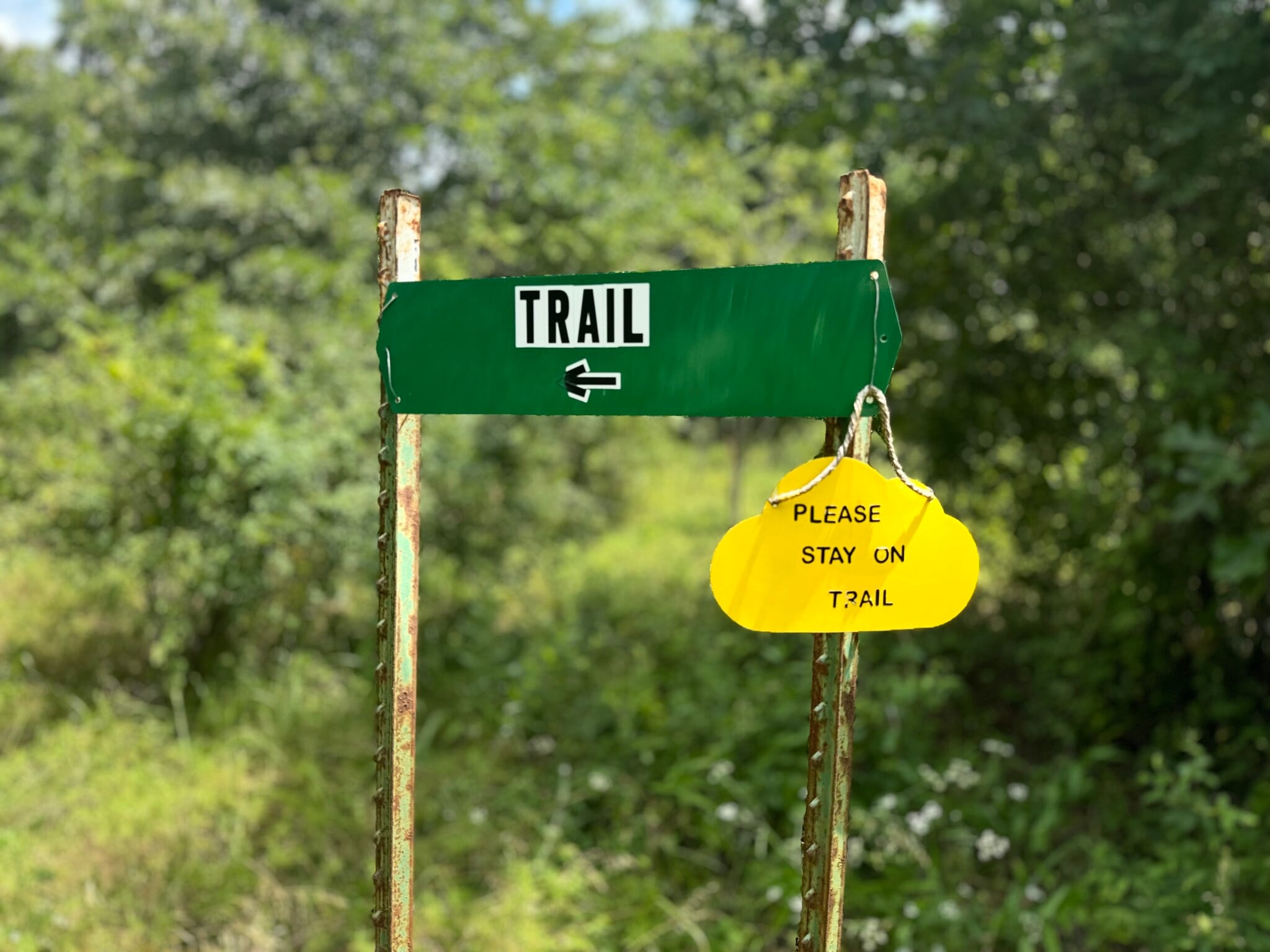 Walking Trail - 2437 Jaguar Rd