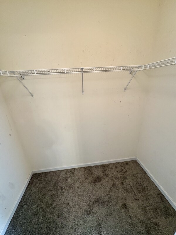 Building Photo - 431 Whitewater Tr