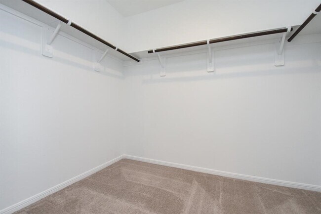 Building Photo - 16412 Big Hickory Dr