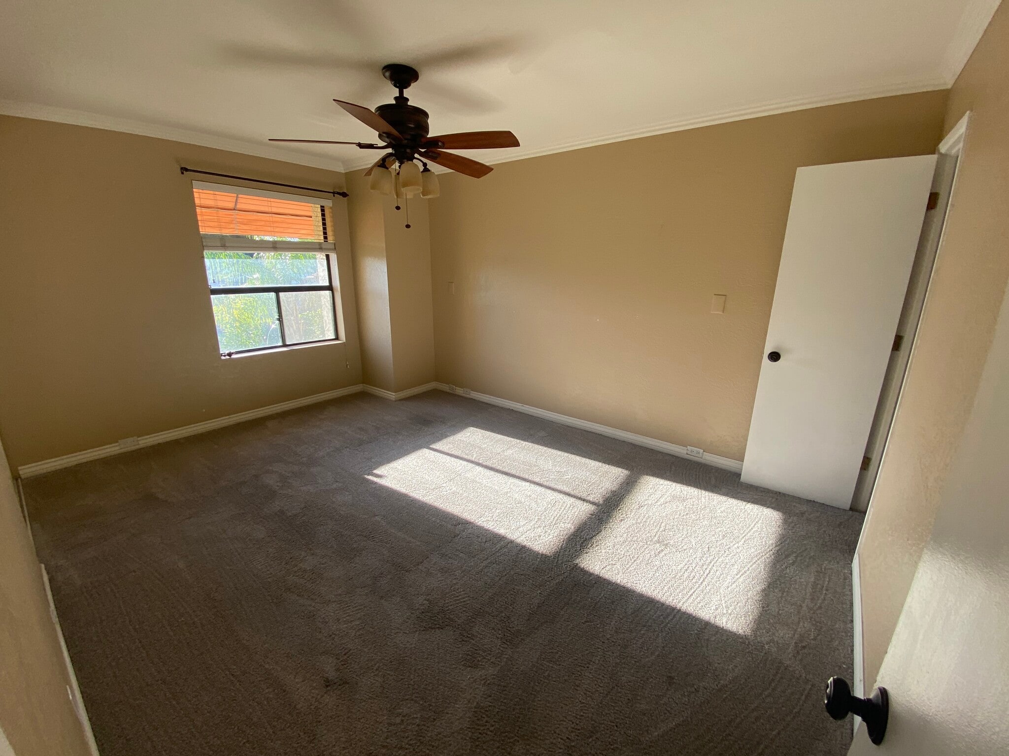 Master bedroom - 1802 E Frier Dr