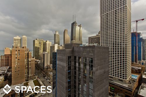 Building Photo - 1133 N Dearborn St