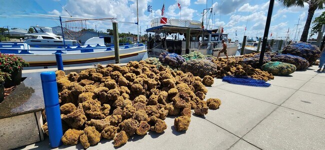 Building Photo - 39248 US Hwy 19 N