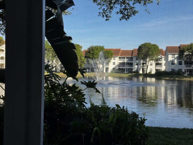 View from Living Room - 4610 Saint Croix Ln