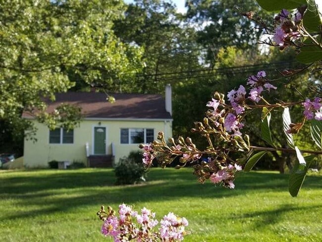 Primary Photo - Four Bedroom House just outside Blacksburg
